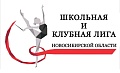 Школьная и Клубная Лига Новосибирской области